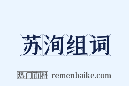 苏洵组词是什么意思的图片